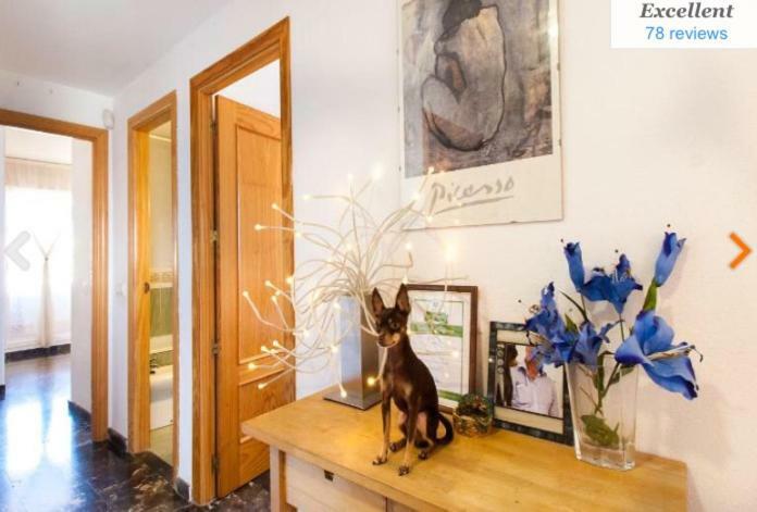 Penthouse With Private Roof Terrace And Jacuzzi Appartement Fuengirola Buitenkant foto